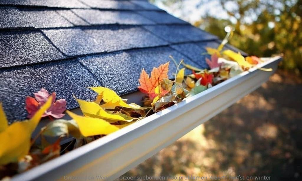 Seizoensgebonden rioolproblemen Weert: herfst en winter